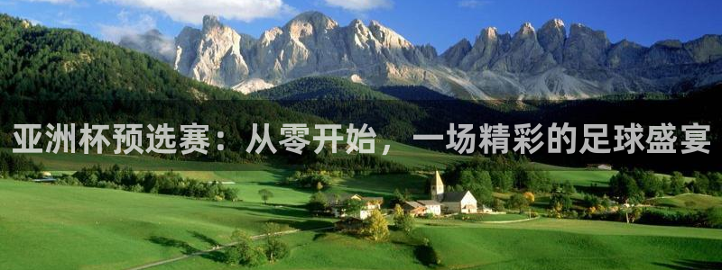世界杯系列赛：亚洲杯预选赛：从零开始，一场精彩的足球盛宴