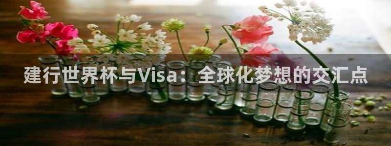 世界杯球队：建行世界杯与Visa：全球化梦想的交汇点