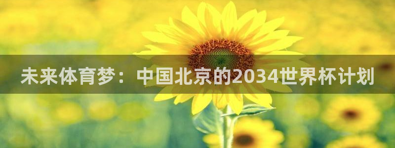 2026世界杯赛程表完整版：未来体育梦：中国北京的2034世界杯计划