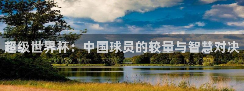 2026世界杯赛制:超级世界杯:中国球员的较量与智慧对决