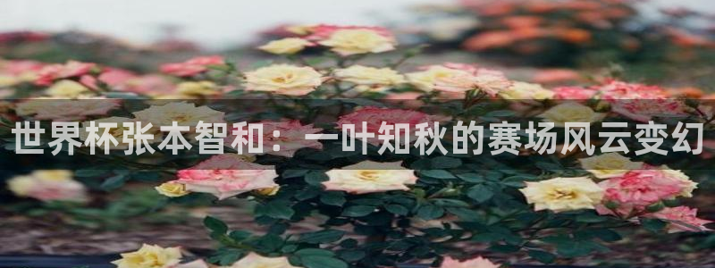 2026世界杯直播免费观看：世界杯张本智和：一叶知秋的赛场风云变幻