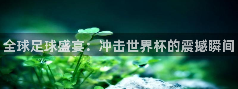 足球杯：全球足球盛宴：冲击世界杯的震撼瞬间