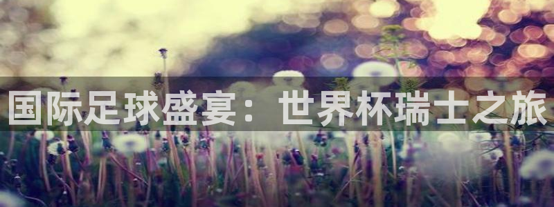 世界杯：国际足球盛宴：世界杯瑞士之旅