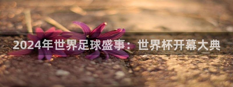 欧洲世界杯预选赛赛程：2024年世界足球盛事：世界杯开幕大典
