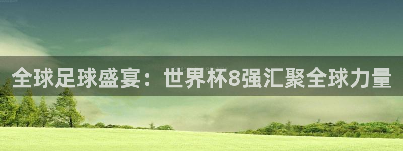 世界杯赛程表：全球足球盛宴：世界杯8强汇聚全球力量