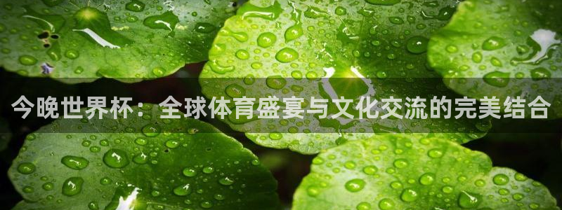 世界杯直播：今晚世界杯：全球体育盛宴与文化交流的完美结合