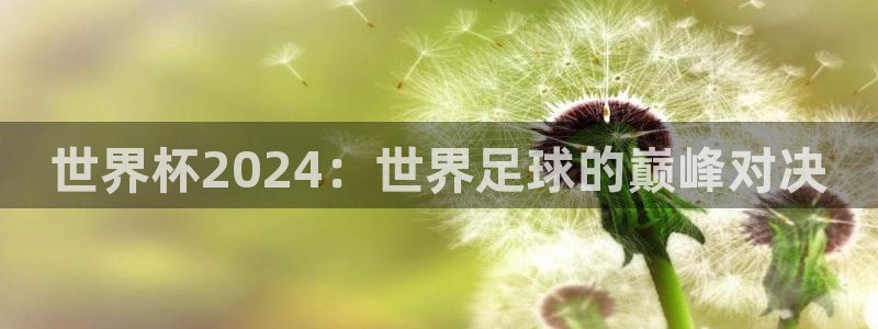世界杯视频：世界杯2024：世界足球的巅峰对决